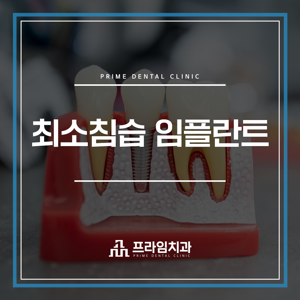 최소침습 임플란트