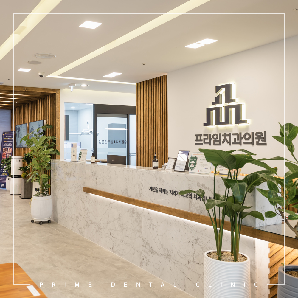 완산구임플란트